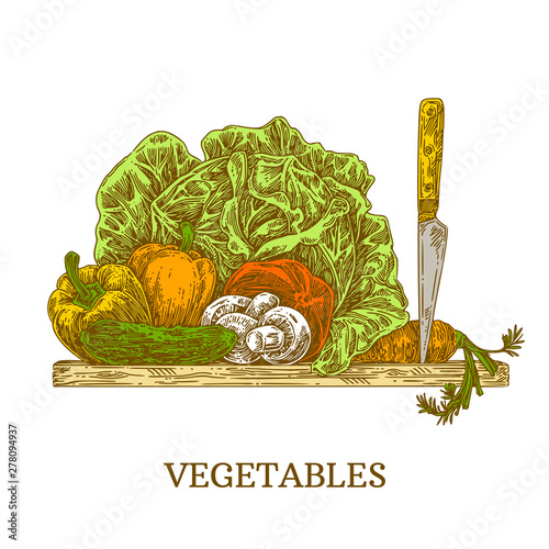 Fresh vegetables on the chopping Board and a knife. Cabbage, bell pepper, cucumber, mushrooms, tomato and carrots. Color. Engraving style. Vector illustration. .
