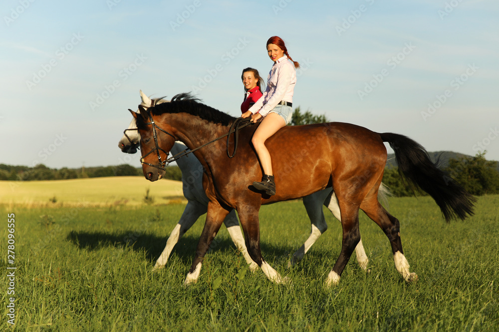 Couple of girls on horses walking on meadow in the summer afternoon time Couple of girls on horses walking on meadow in the summer afternoon time