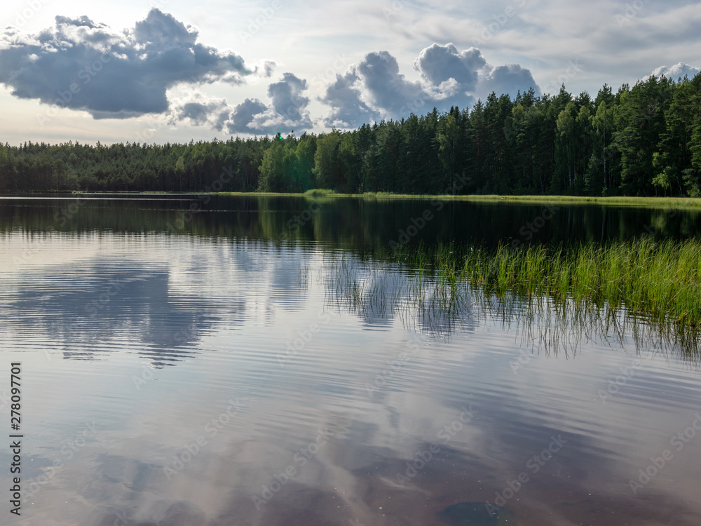 Fototapeta premium clouds and forest reflecting in the still waters