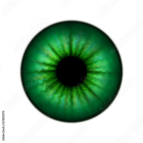 Green human pupil without glare  isolated on white background. Raster illustration.