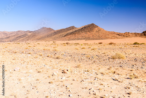 Dry grass with small trees and shrubs in the Namib-Nauklauft National Park, Namibia