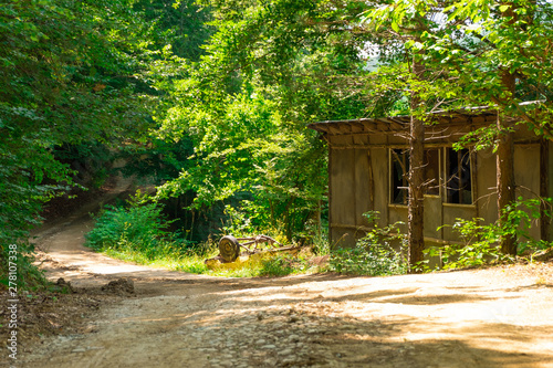 Abandoned house and waggon in the woods