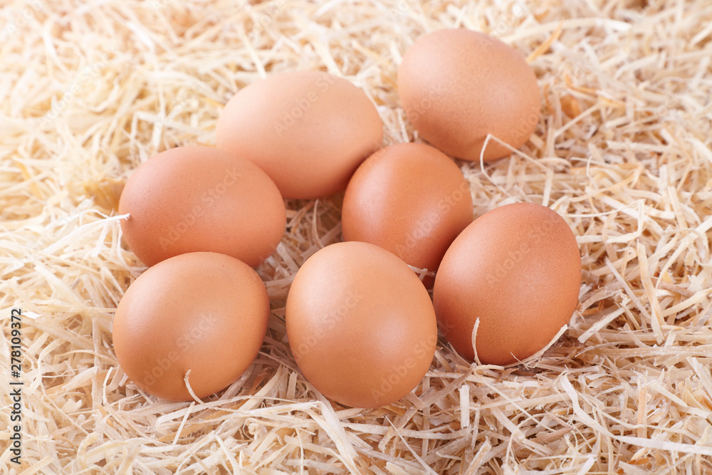 group of brown chicken eggs on hay, homemade farm natural product group of brown chicken eggs on hay, homemade farm natural product