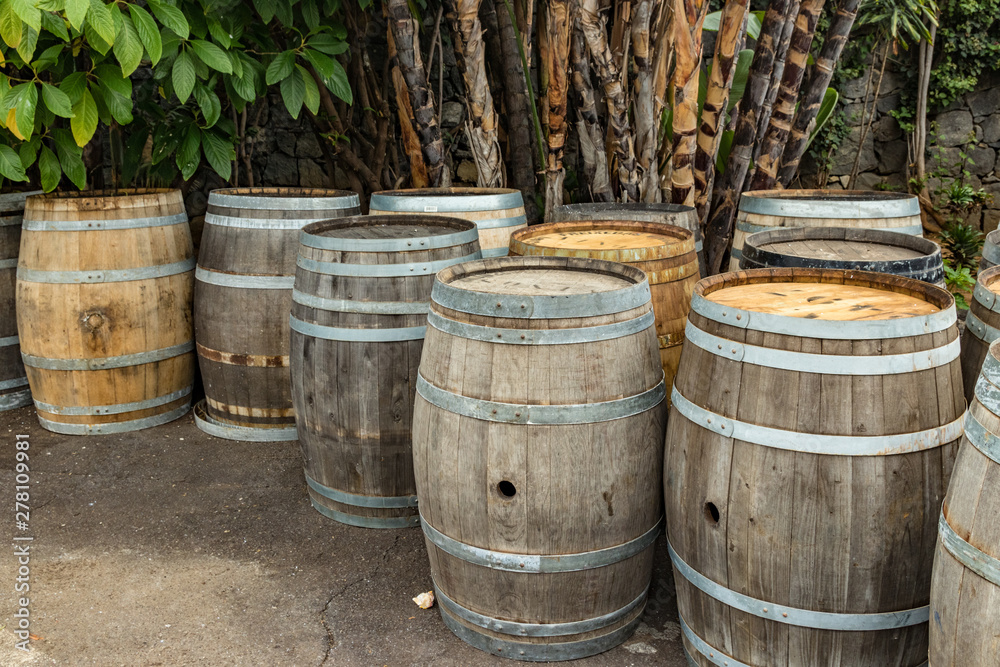Vintage old wooden wine barrels in a vinery of Tenerife, Canary Islands, Spain