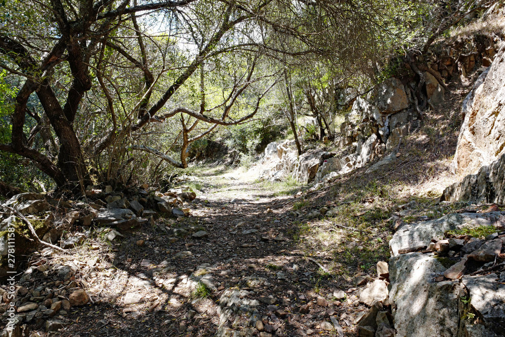Sardinien Wanderweg durch den Wald bei Castiadas Sardinien Wanderweg durch den Wald bei Castiadas