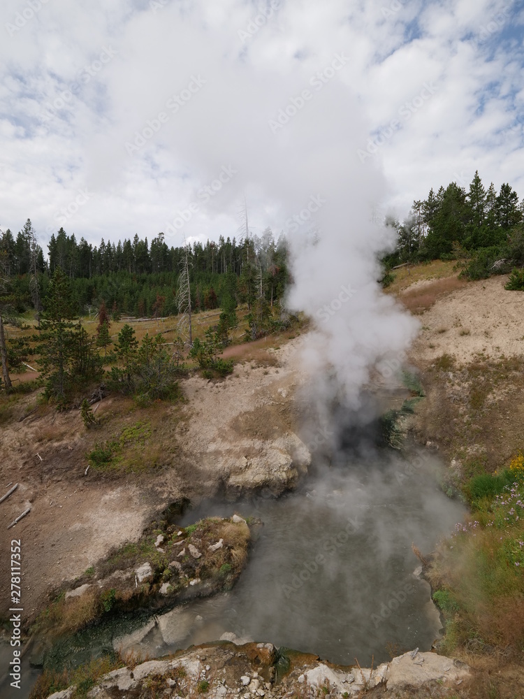 Hot water and steam spews out of the Dragon's Mouth Spring, Yellowstone National Park.