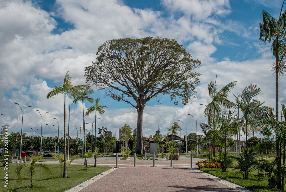 Fototapeta premium Parque do utinga, belém, Pará, belém do Pará, céu, 
