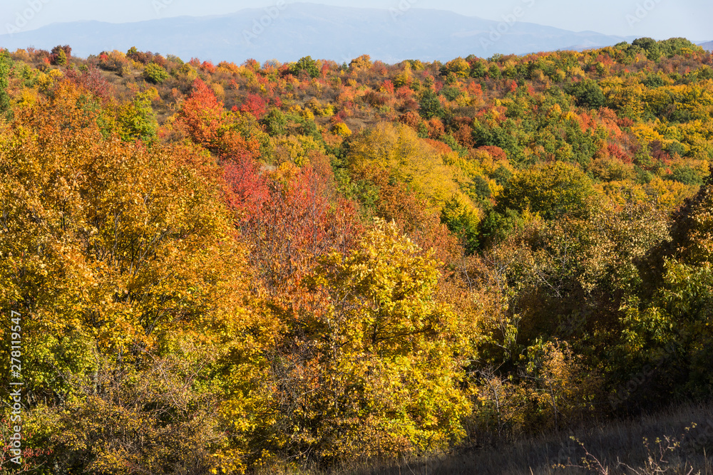 Autumn view of Cherna Gora mountain, Bulgaria Autumn view of Cherna Gora mountain, Bulgaria