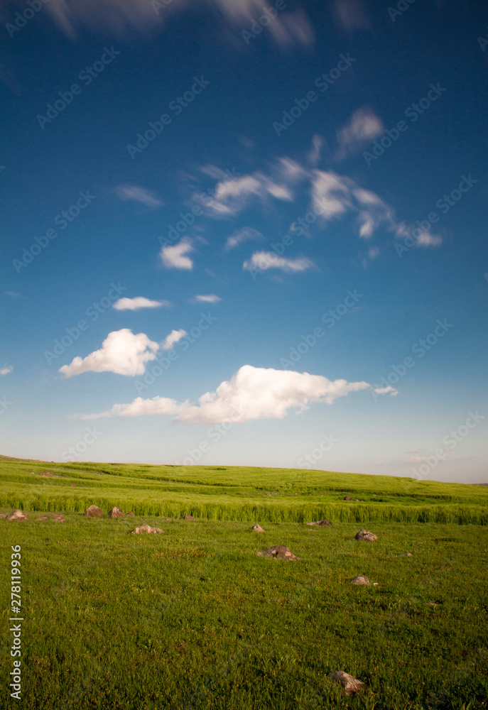 Fototapeta premium landscape