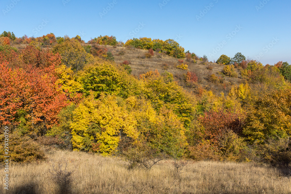 Autumn view of Cherna Gora mountain, Bulgaria Autumn view of Cherna Gora mountain, Bulgaria