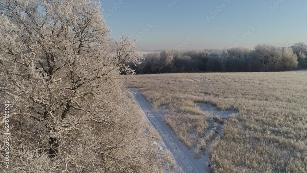 aerial view winter landscape snow covered field and trees in countryside. winter road in countryside. Snow covered farmland and trees during winter aerial view winter landscape snow covered field and trees in countryside. winter road in countryside. Snow covered farmland and trees during winter