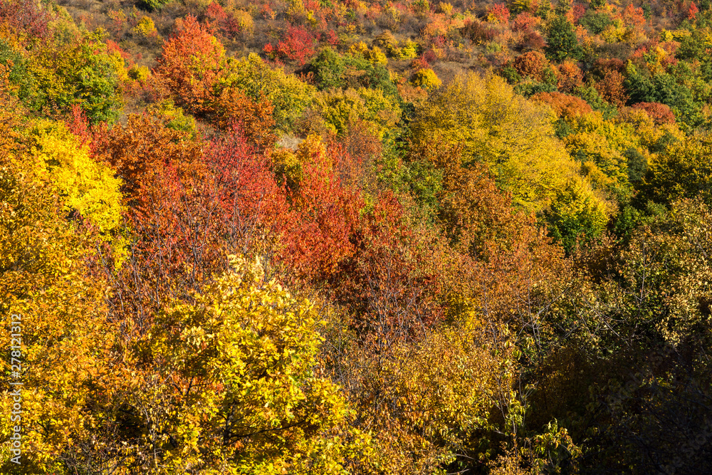 Autumn view of Cherna Gora mountain, Bulgaria Autumn view of Cherna Gora mountain, Bulgaria