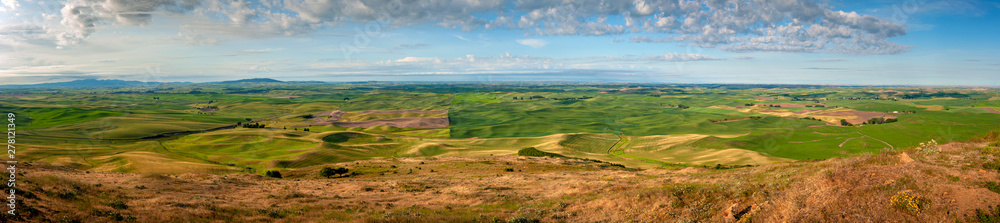 Panoramic View of the Stunning Palouse Landscape of Eastern Washington. Colors seem to shift and change in the light on the rolling agricultural landscape from  Steptoe Butte State Park.