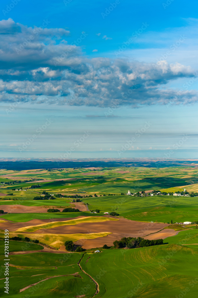 Beautiful Farmland Patterns Seen From Steptoe Butte, Washington. High above the Palouse Hills on the eastern edge of Washington, Steptoe Butte offers unparalleled views of a truly unique landscape.