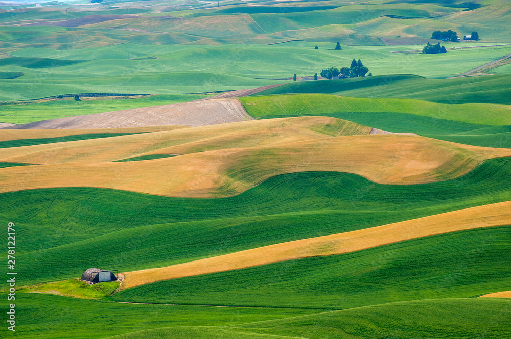 Naklejka premium Beautiful Farmland Patterns Seen From Steptoe Butte, Washington. High above the Palouse Hills on the eastern edge of Washington, Steptoe Butte offers unparalleled views of a truly unique landscape.