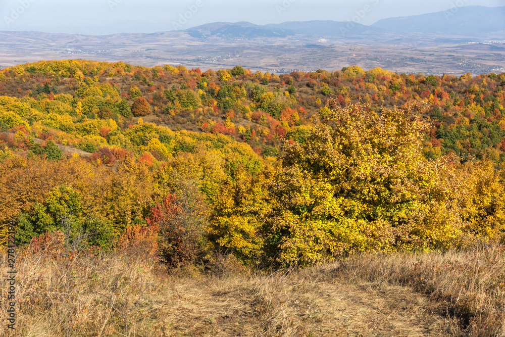 Fototapeta premium Autumn view of Cherna Gora mountain, Bulgaria