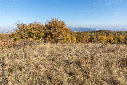 Autumn view of Cherna Gora mountain  Bulgaria