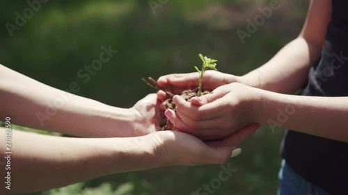 young family planting trees in the green park on sunny day. close-up cute view of sisters holding a young plant in hands together. ecology and nature concept.