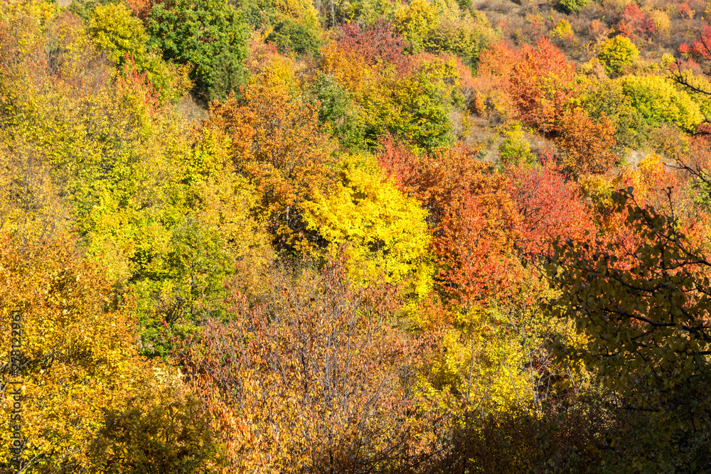 Autumn view of Cherna Gora mountain, Bulgaria Autumn view of Cherna Gora mountain, Bulgaria