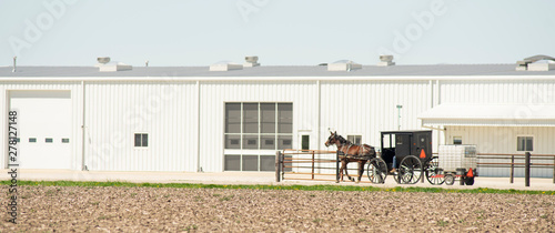 Farmer Hauls Goods The Old Fashoined Way In Arthur Illinois photo