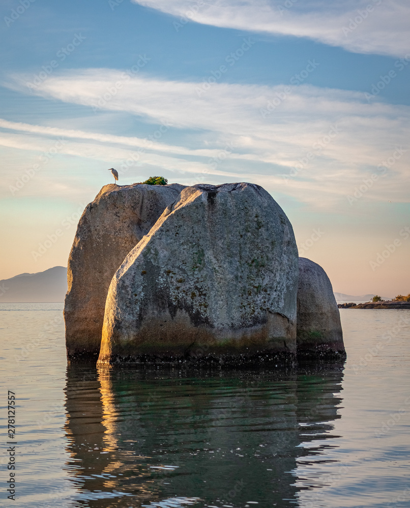 bird rests quietly on a rock at sunset