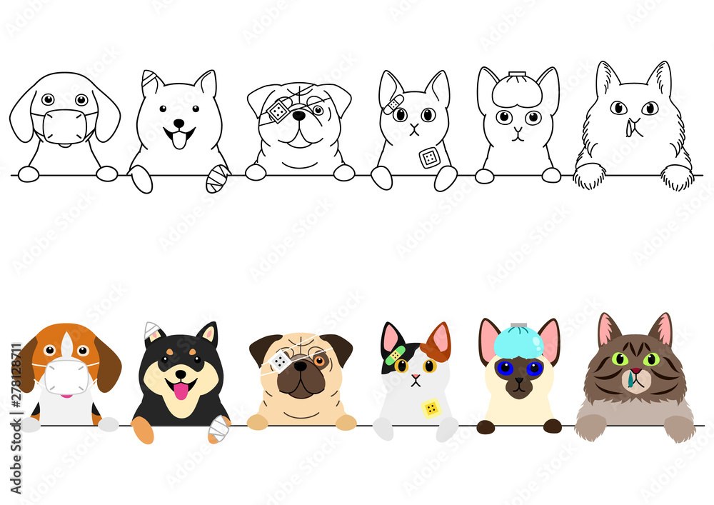 unhappy sick cats and dogs border
