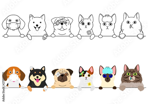 unhappy sick cats and dogs border