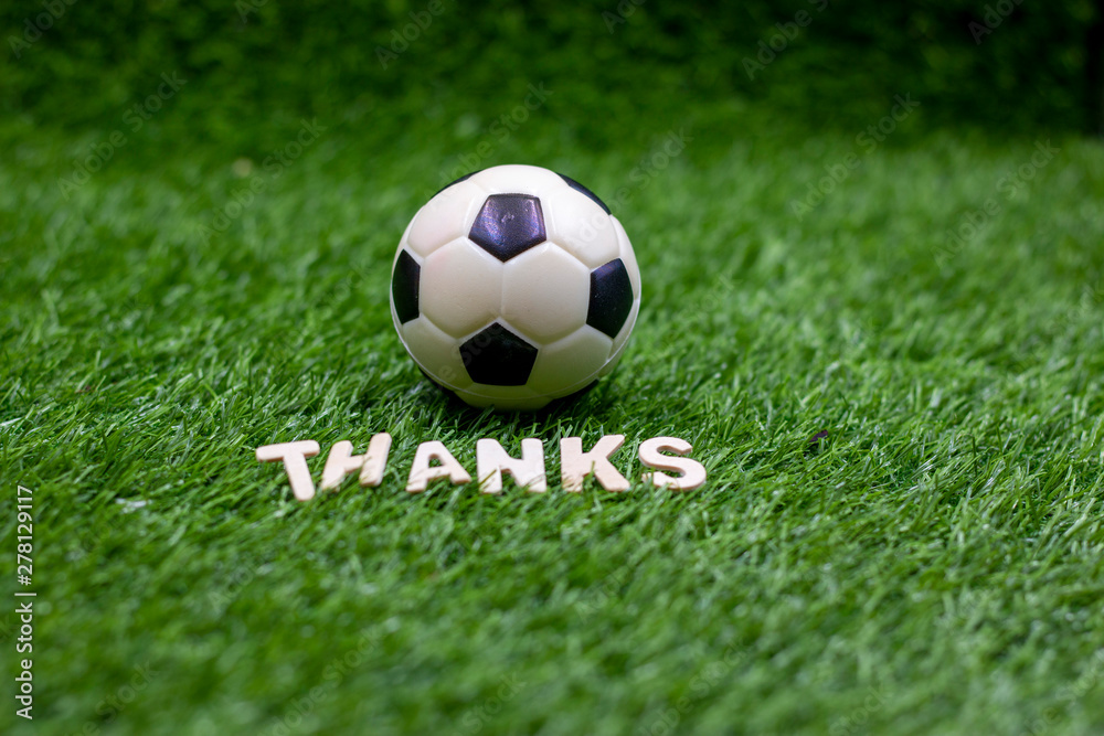 Obraz premium Soccer football thank you on green grass
