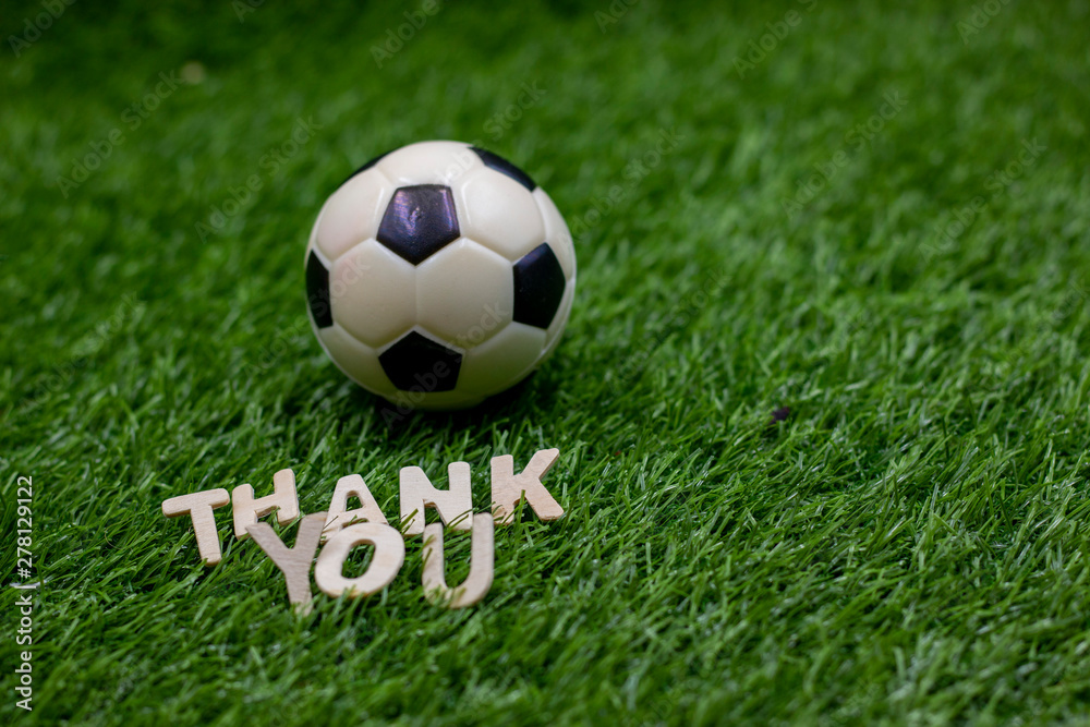Soccer football thank you on green grass Soccer football thank you on green grass