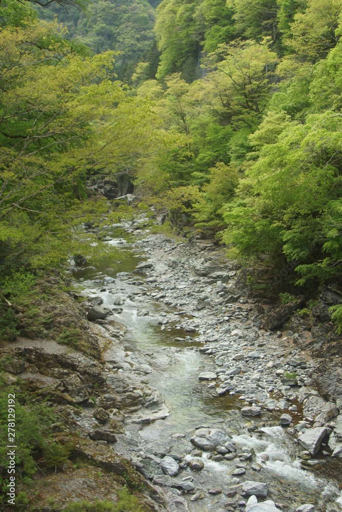 奥秩父 三峰参道の自然(渓谷) 奥秩父 三峰参道の自然(渓谷)