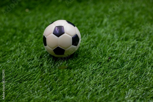 Soccer football on green grass