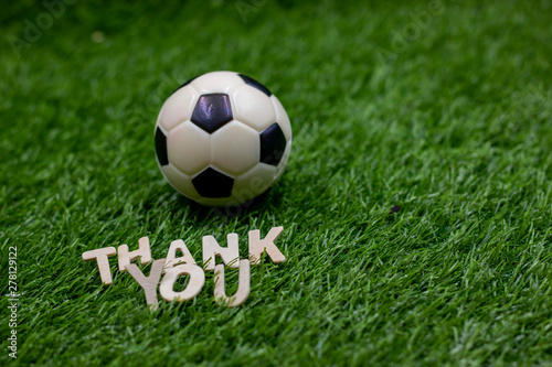 Soccer football thank you on green grass © thaninee