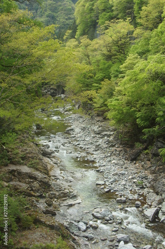 奥秩父　三峰参道の自然（渓谷）