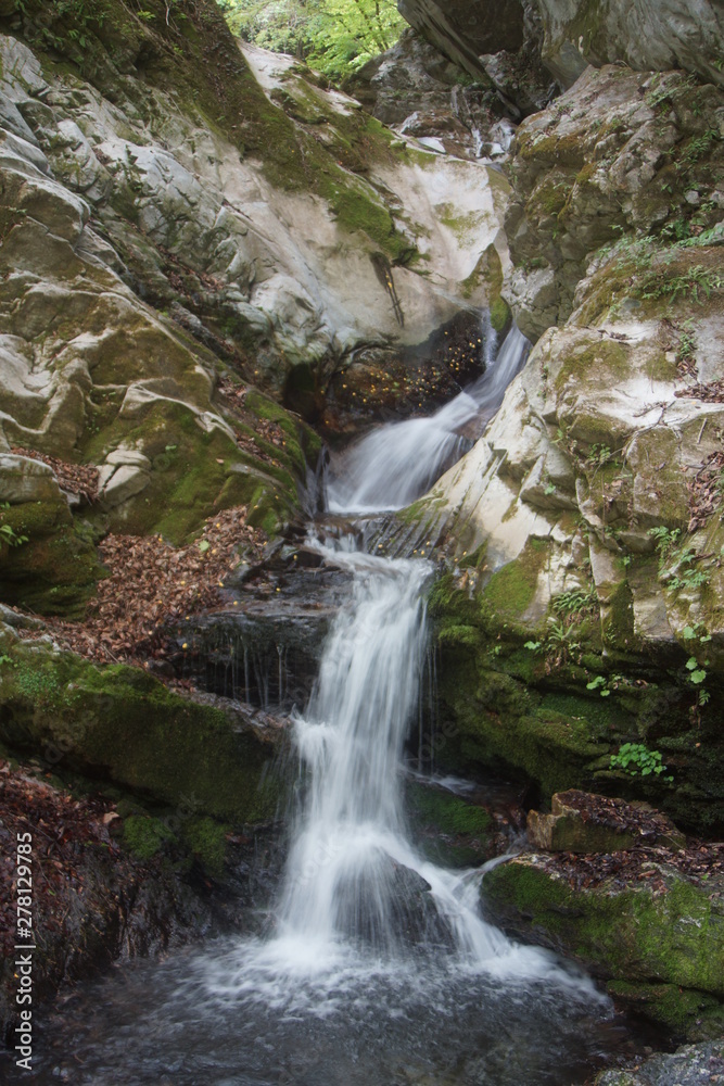 Obraz premium 奥秩父 三峰参道の自然