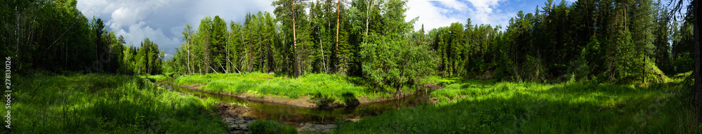 turn of the forest river in the taiga among the tall trees panorama turn of the forest river in the taiga among the tall trees panorama