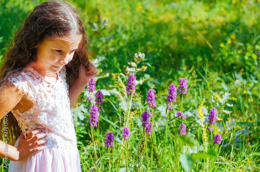 little girl watching a bee pollinate wild flowers in a field little girl watching a bee pollinate wild flowers in a field
