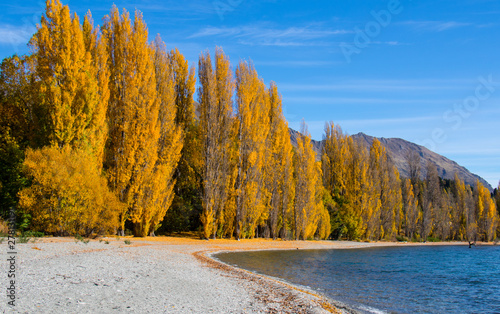 Autumn colour in New Zealand