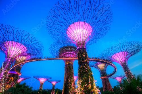 Photography Singapore Supertrees
