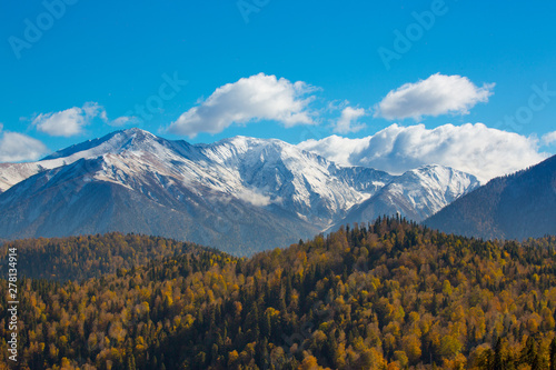 Snowy high peak with forest landscape © Maxim