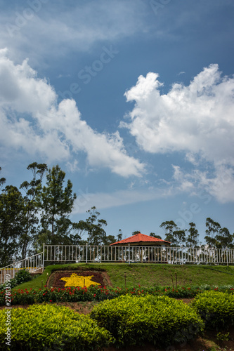 Tea gardens in the foothills of western ghat