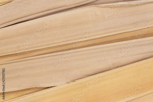 Dry palm leaves background, Abstract brown nature dry leaf background