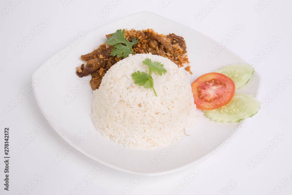 Rice with chicken fried with garlic and black pepper. Closeup for design-works (Thai Food) Rice with chicken fried with garlic and black pepper. Closeup for design-works (Thai Food)