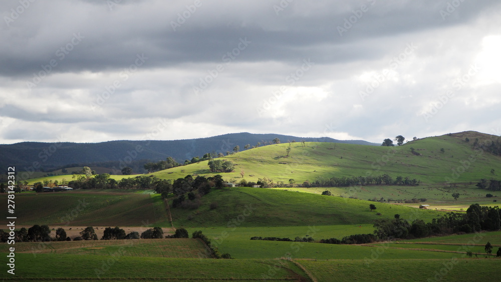 Countryside scene with rolling meadows. blue mountains, sparse trees, green grass and looming clouds above