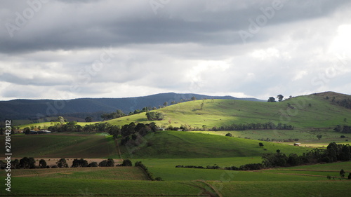 Countryside scene with rolling meadows. blue mountains, sparse trees, green grass and looming clouds above