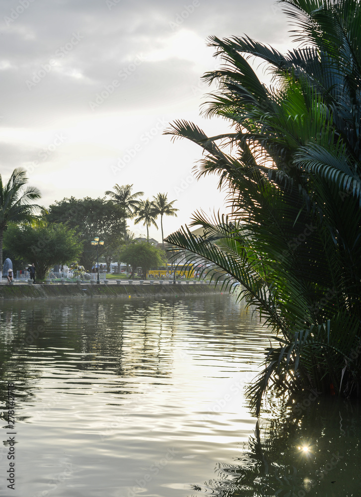 Obraz premium Green leaves of coconut palm on river
