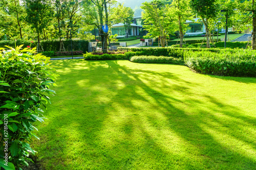 Fototapeta Naklejka Na Ścianę i Meble -  The sunshine in the evening shines through the trees down to the lawn of the front of the house beautifully, green lawn, Front lawn for the background, designed a beautiful shady landscape garden.