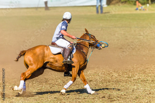 Polocrosse Rider Player Racket Ball Horse Pony Unidentified Riding Game Closeup Action © ChrisVanLennepPhoto