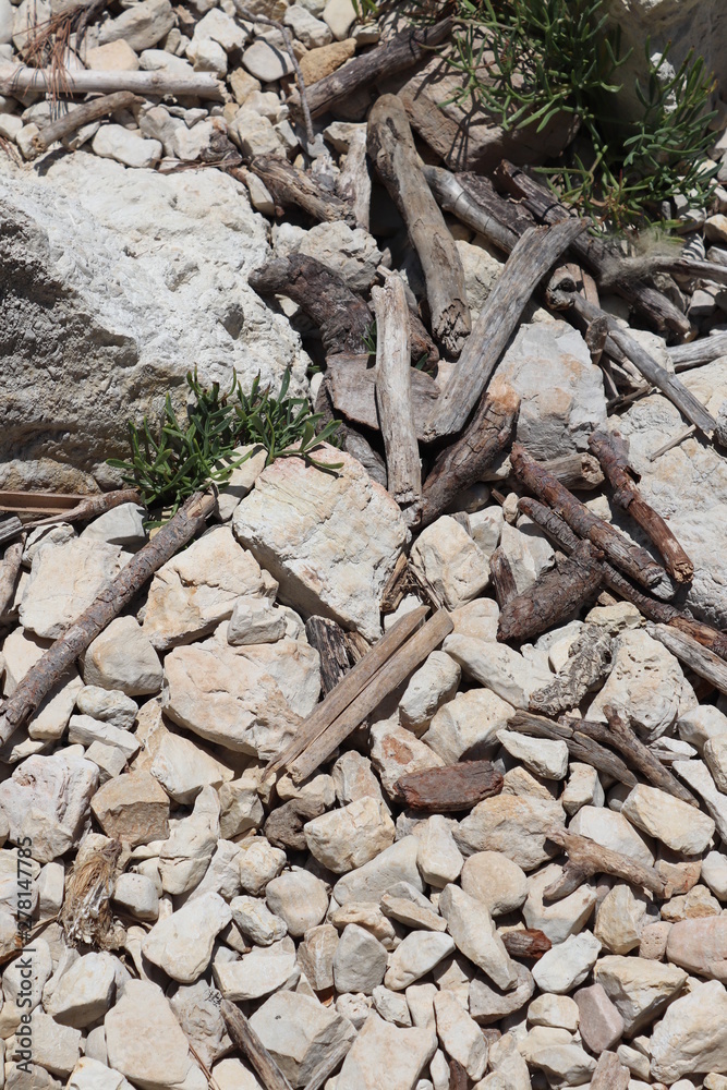 Beach debris Beach debris