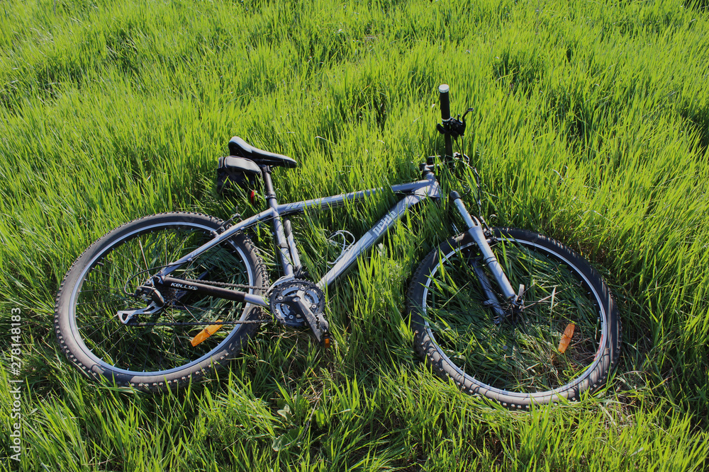 Mountain bike in the grass. Cycling in nature Mountain bike in the grass. Cycling in nature
