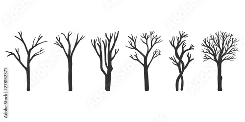 Set of naked trees silhouettes